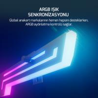 GAMEPOWER Heatsync Argb LCD Ekran Kartı Tutucu Beyaz - 3